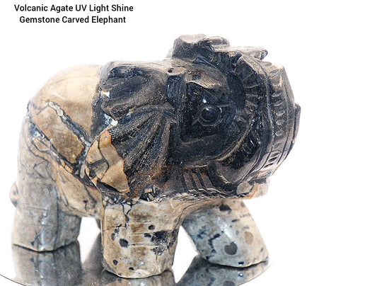 Rare Volcanic Agate UV Light Reaction Gemstone Druzy Carved Elephant