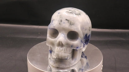 Sodalite Gemstone Carved Skull