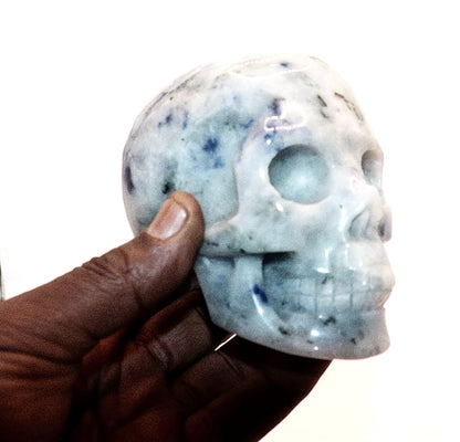 Sodalite Gemstone Carved Skull