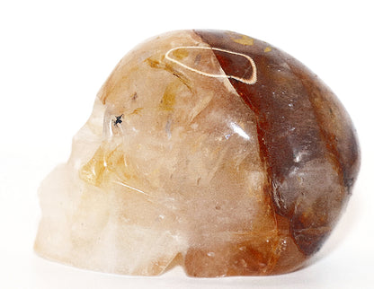 Golden Healer Gemstone Carved Skull