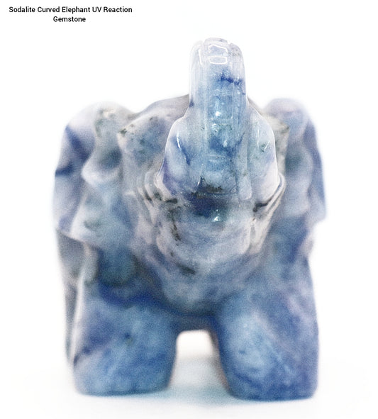 Sodalite Carved Elephant Gemstone