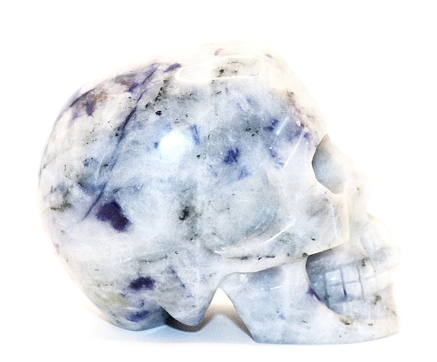 Sodalite Gemstone Carved Skull