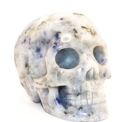 Sodalite Gemstone Carved Skull