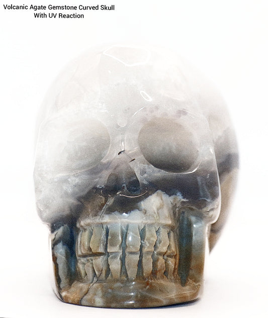 Volcanic Agate Gemstone Curved Skull With UV Reaction
