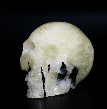 Rare Yellow Citrine Fussed With Black Tourmaline Gemstone Curved Skulls