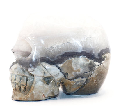 Volcanic Agate Gemstone Curved Skull With UV Reaction