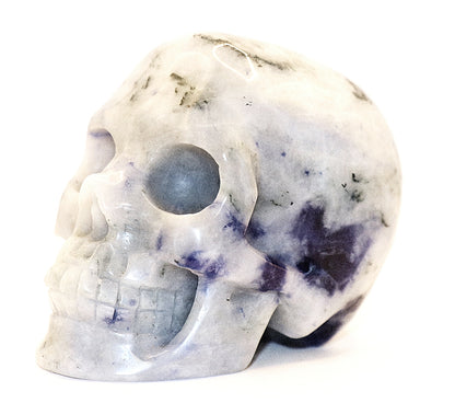 Sodalite Gemstone Carved Skull